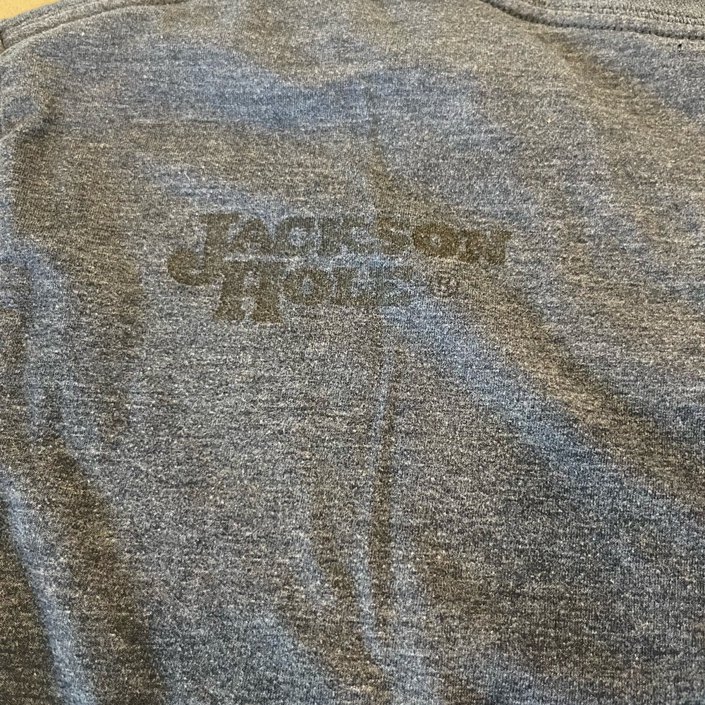 Patagonia Fitz Roy Bison Long Sleeve Shirt Men's L Blue Crew Neck Jackson Hole - Picture 9 of 9